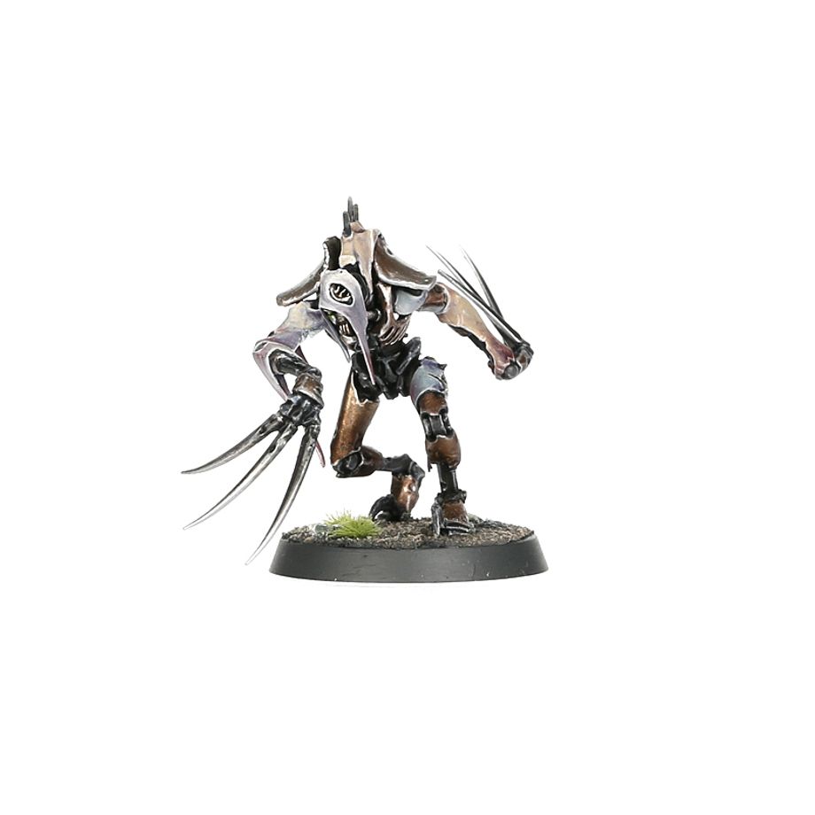 WH40K:ネクロン: フレイド・ワン