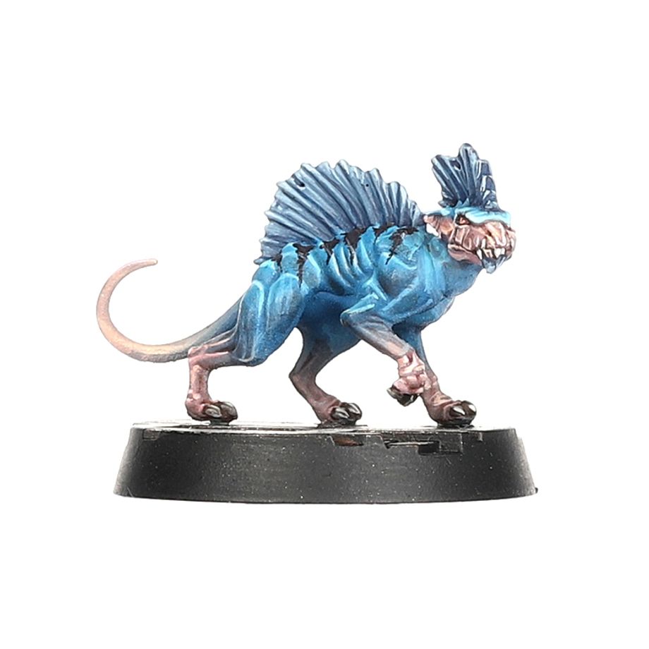 WHNM:ネクロムンダ: ESCHER DEATH MAIDENS & WYLD RUNNERS