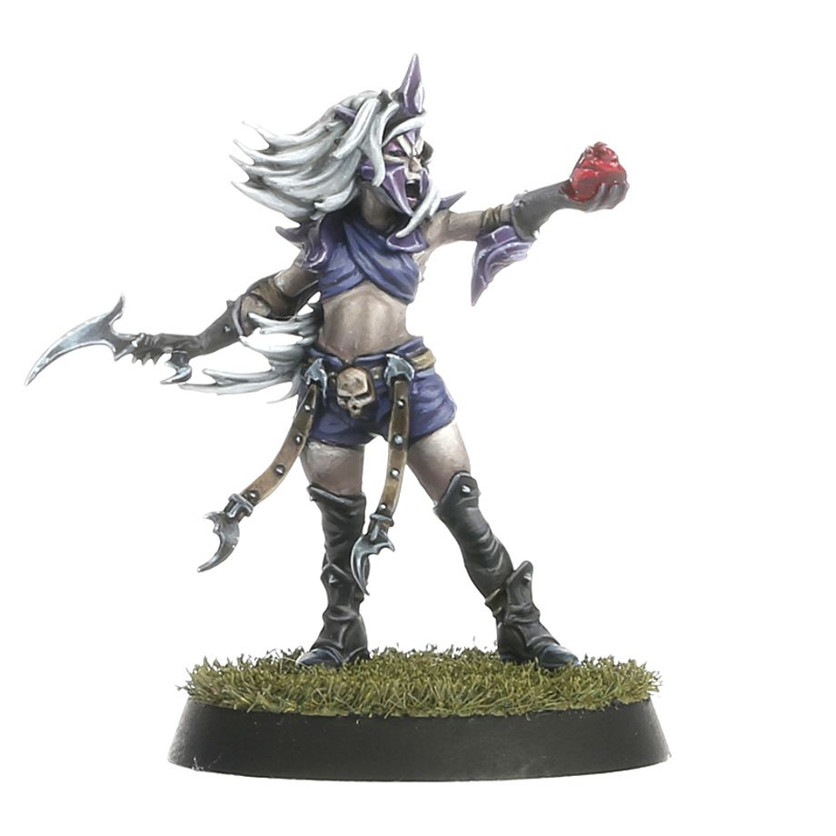 WHBB:ブラッドボウル: DARK ELF ・チーム