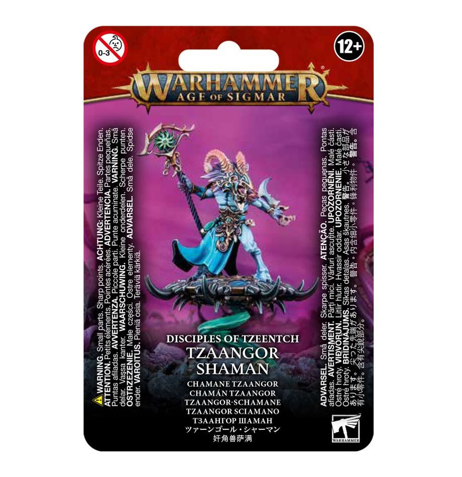 WH40K:WHAOS:ディサイプル・オヴ・ティーンチ:ツァーンゴール・シャーマン