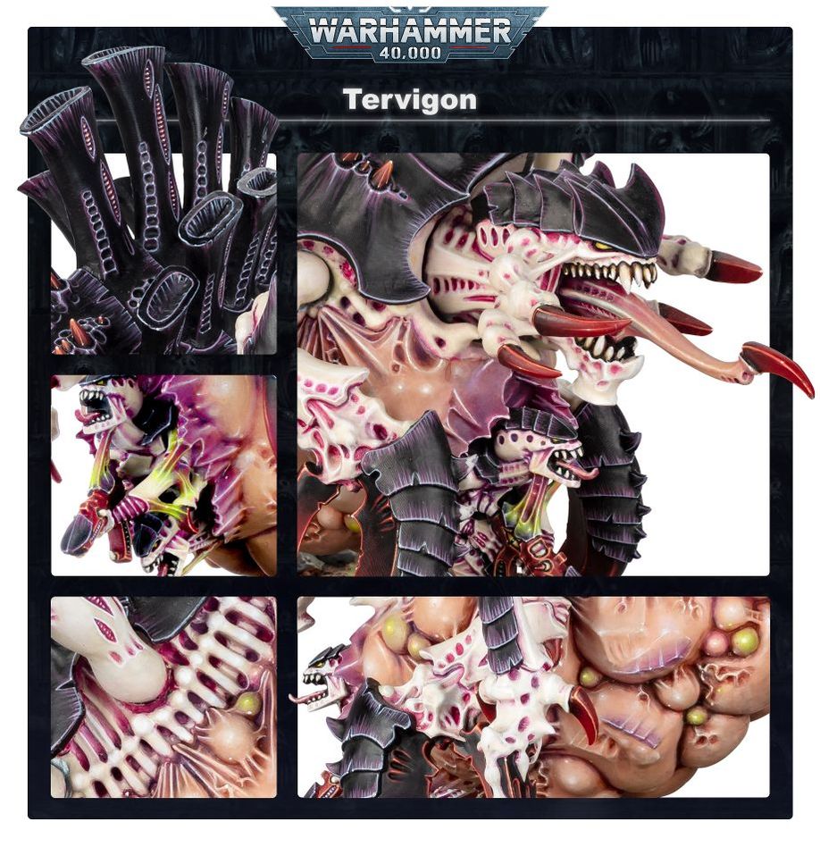 WH40K:ティラニッド:ティラノフェックス