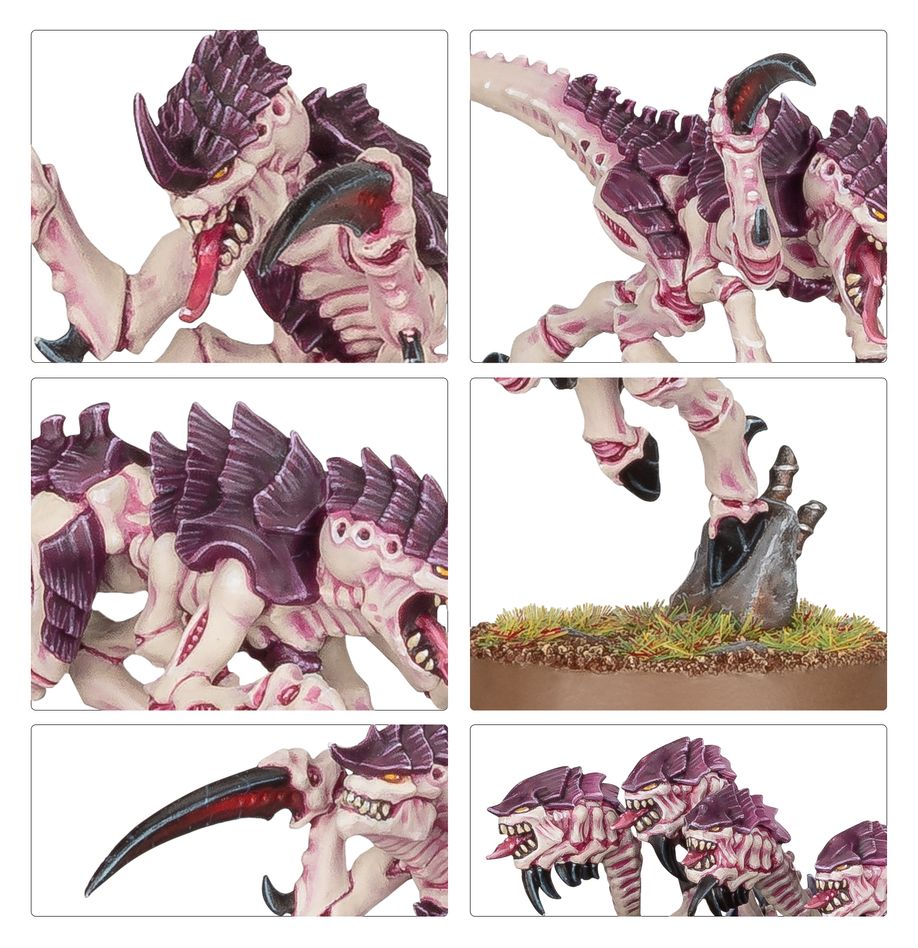 WH40K:ティラニッド:ホーマゴーント