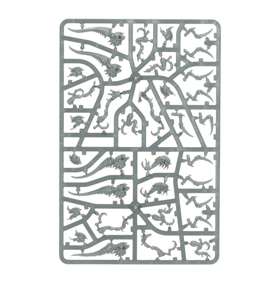 WH40K:ティラニッド:ホーマゴーント