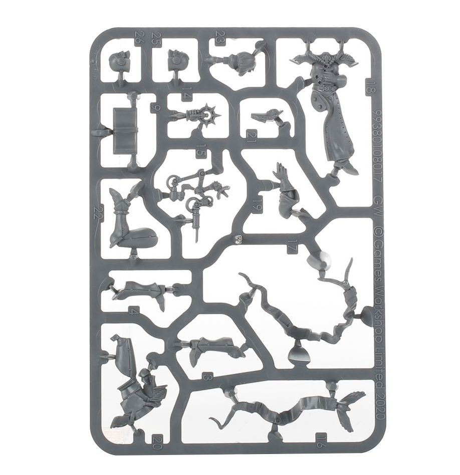 WH40K:アデプタ・ソロリタス: ホスピタラー