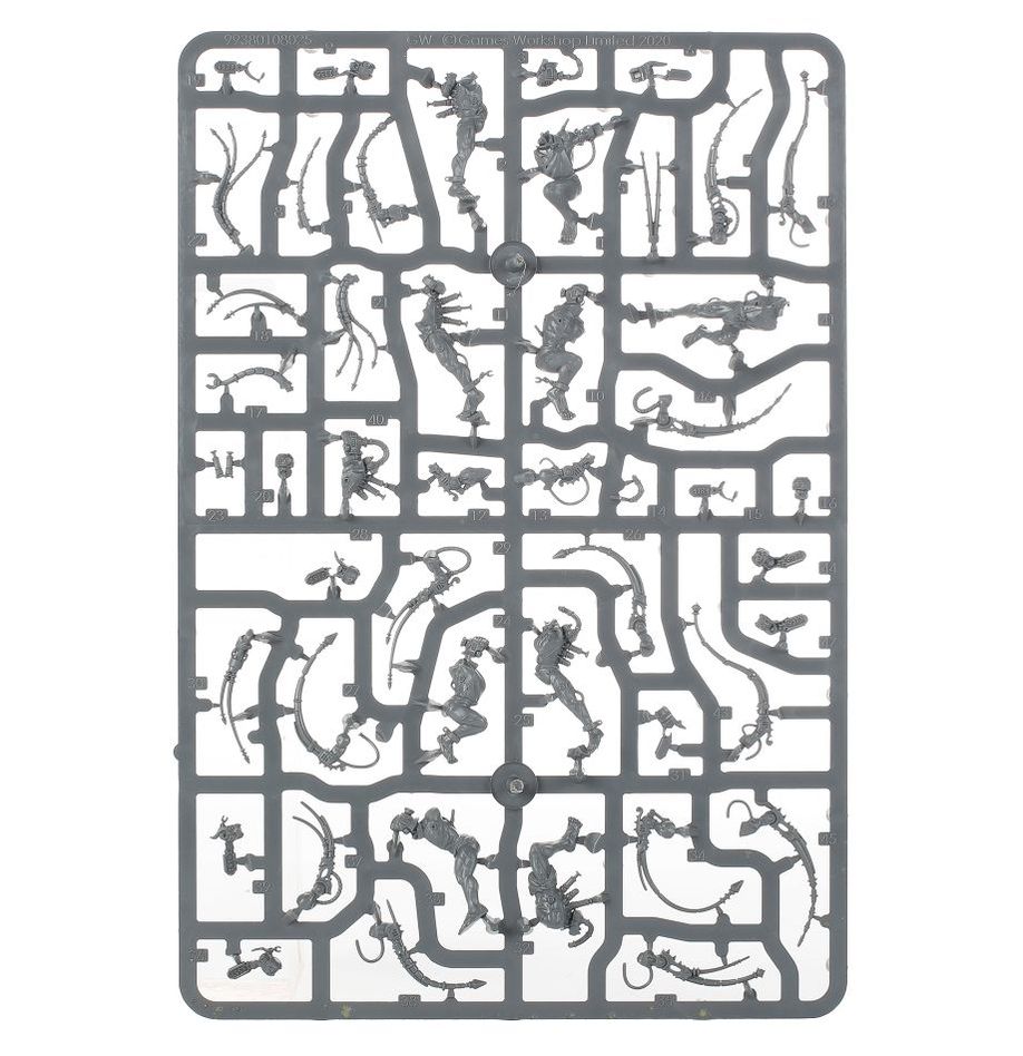 WH40K:コンバットパトロール: アデプタ・ソロリタス