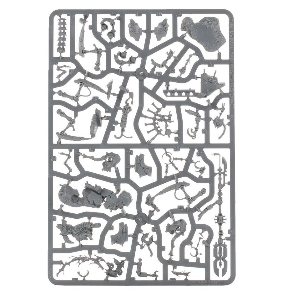 WH40K:ネクロン: イルミノール・スゼラス