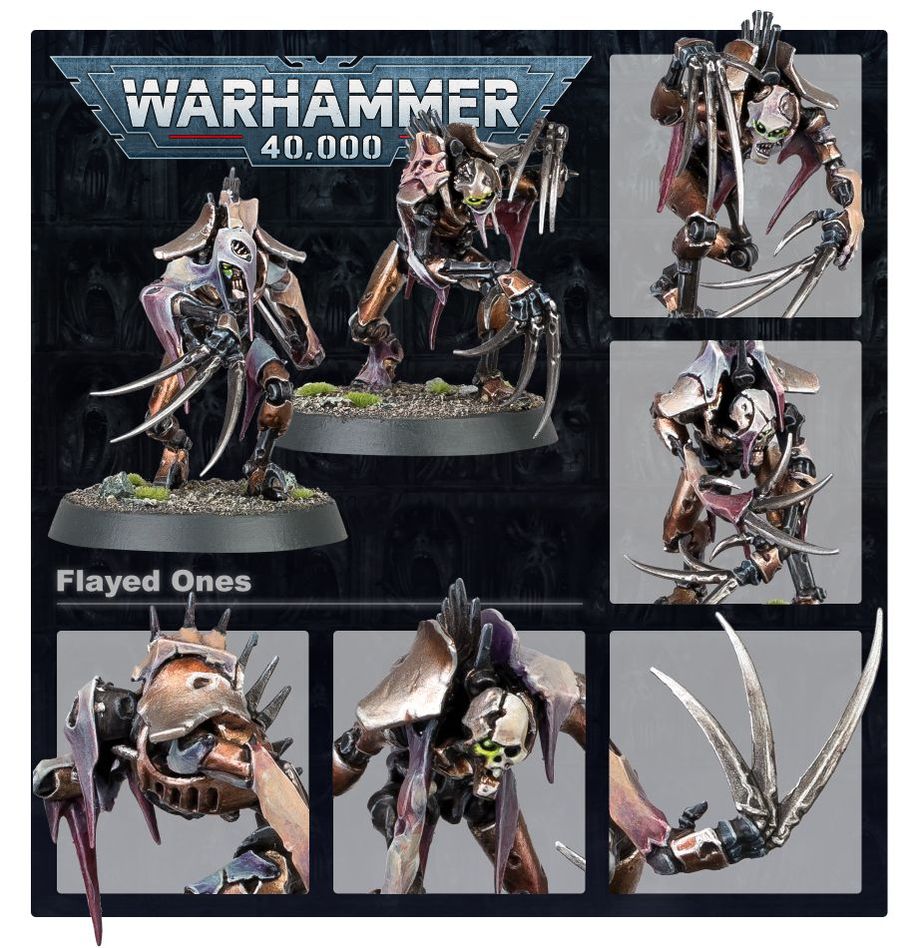 WH40K:ネクロン: フレイド・ワン