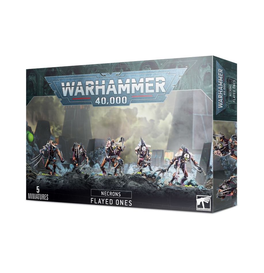 WH40K:ネクロン: フレイド・ワン