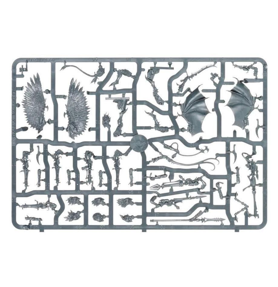 WH40K:デュカーリ:スカージ