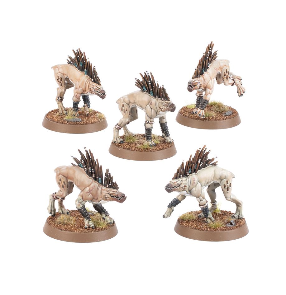 WH40K:タウ・エンパイア:クルートハウンド