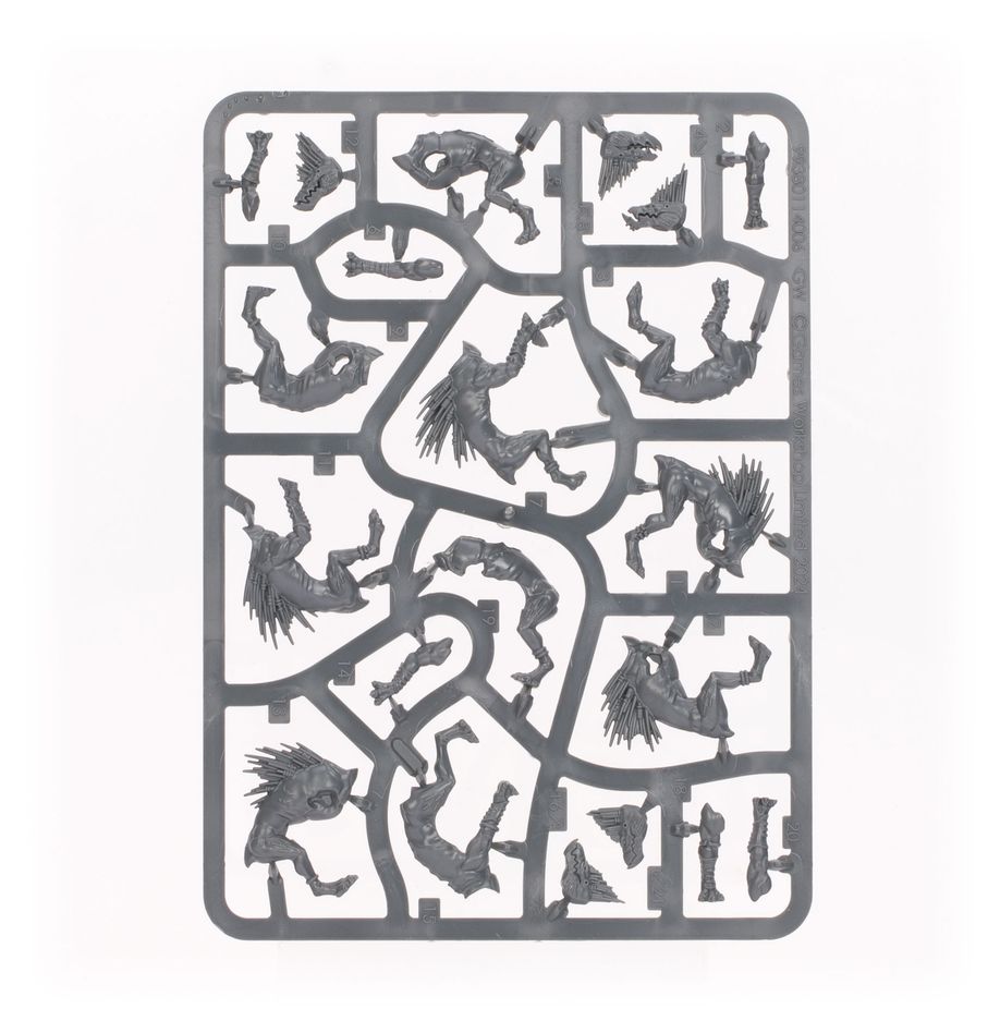 WH40K:タウ・エンパイア:クルートハウンド