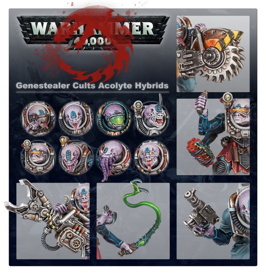 WH40K:ジーンスティーラー・カルト:アコライト・ハイブリッド