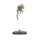 WHNM：ネクロムンダ：GENESTEALER ABOMINATION GANG