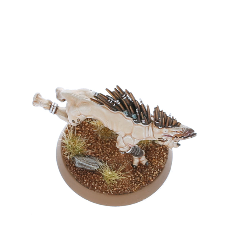 WH40K：タウ・エンパイア：クルートハウンド