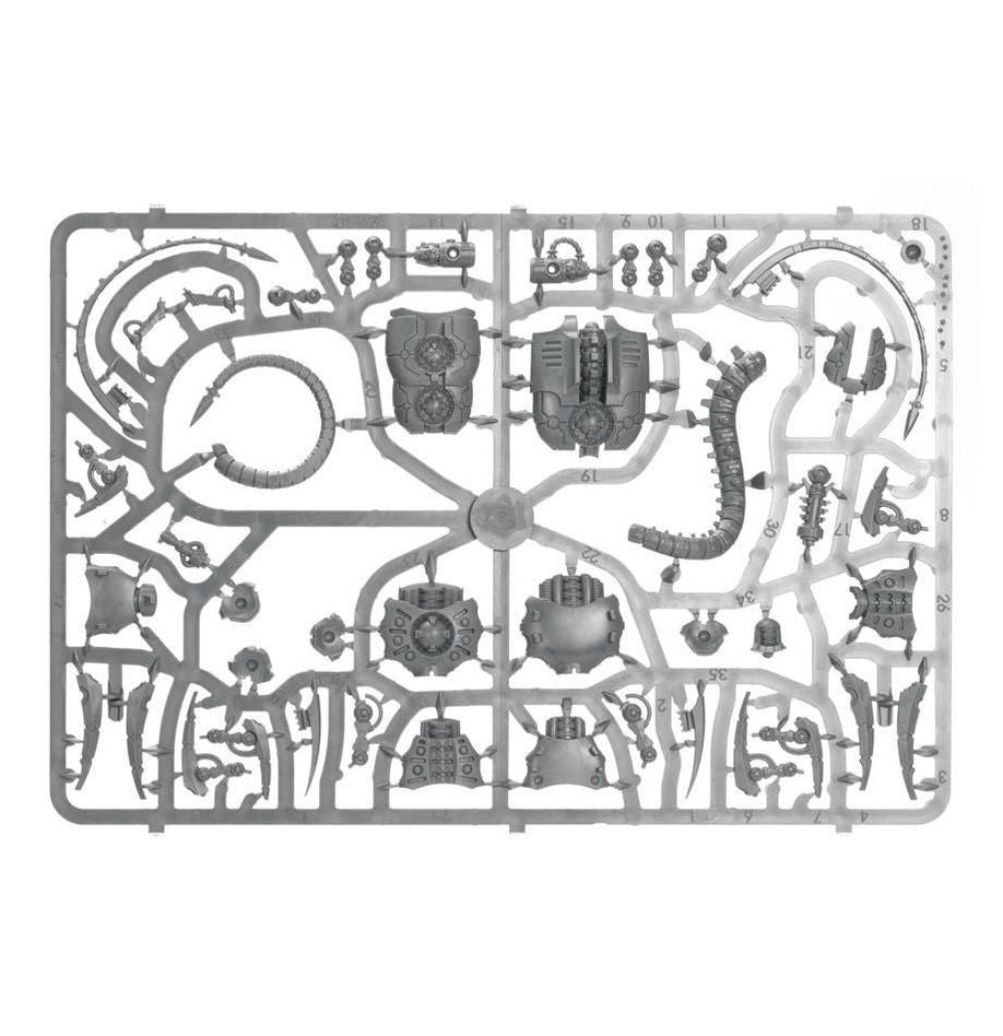 WH40K：ネクロン: カノプテック・レイス