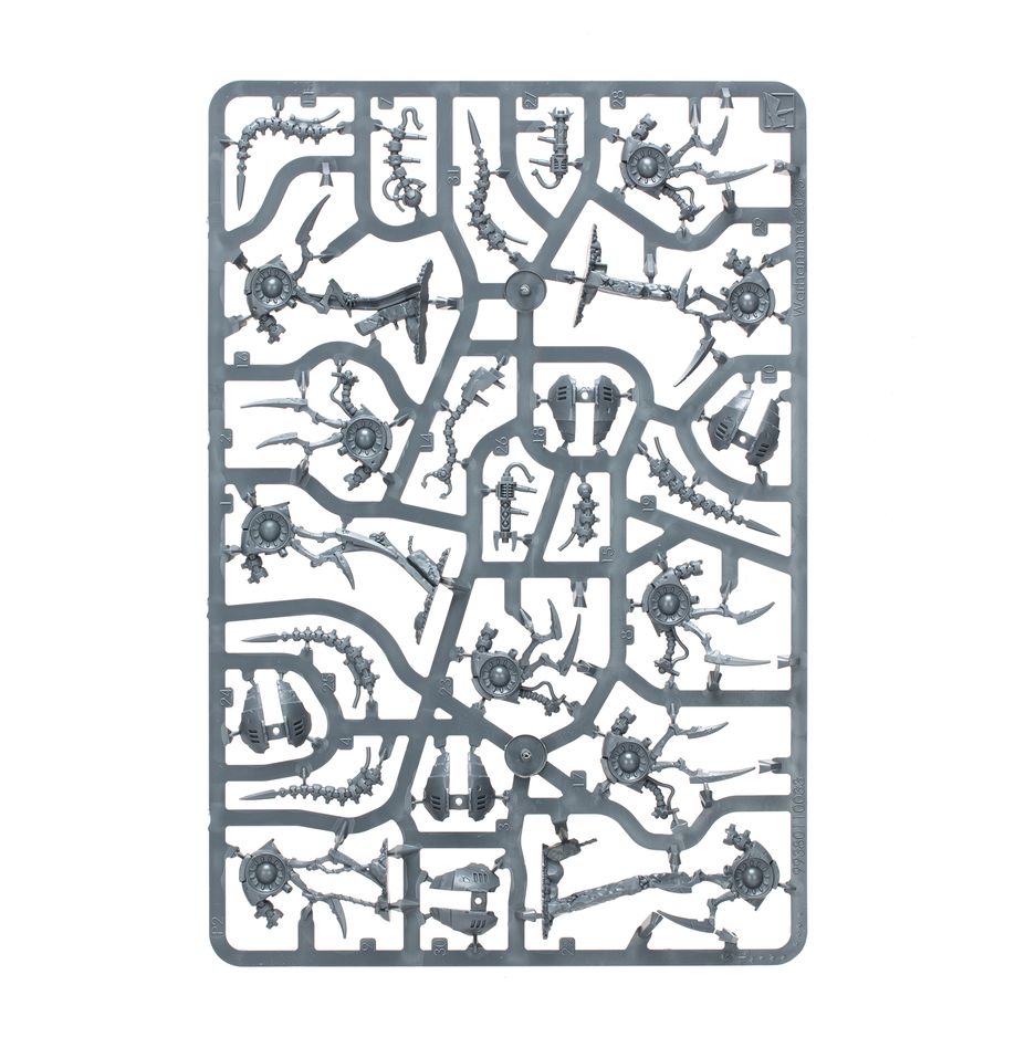 11/22(土)発売WHKT：キルチーム：カノプテック・サークル