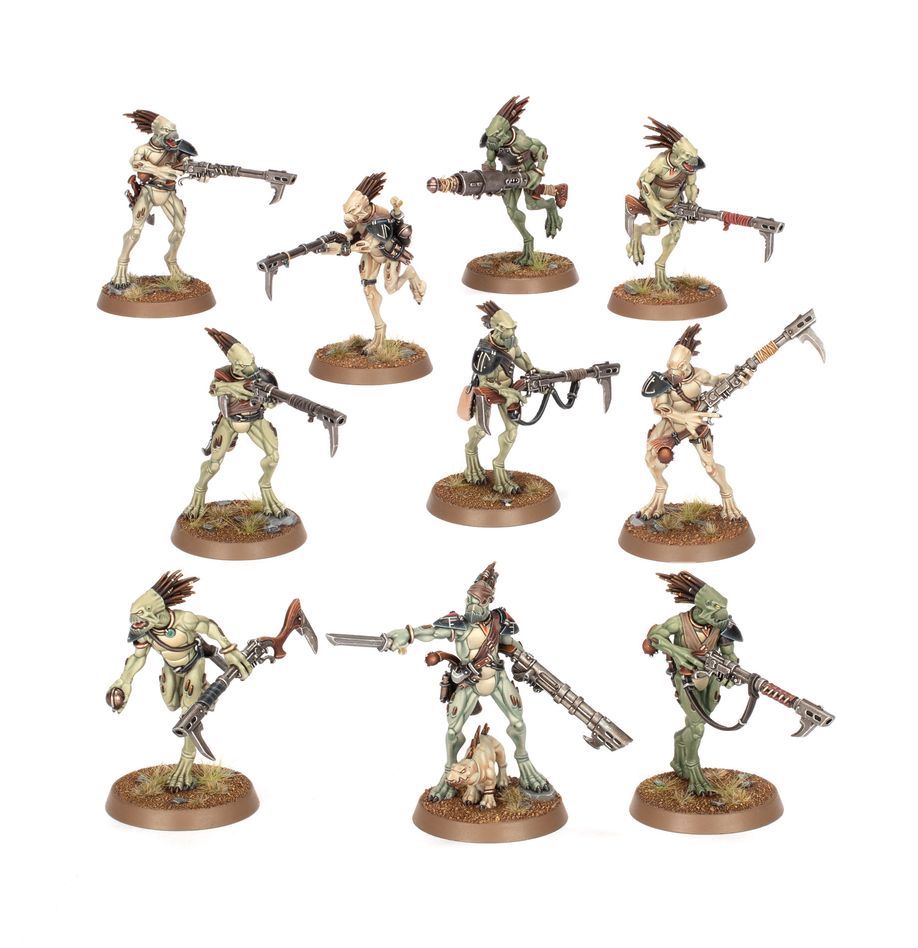 WH40K：タウ・エンパイア：クルート・カーニヴォア・スカッド