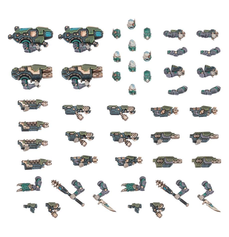 WHNM：ネクロムンダ: VAN SAAR WEAPONS & UPGRADES