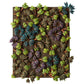 WH：CITADEL BARBED BRACKEN